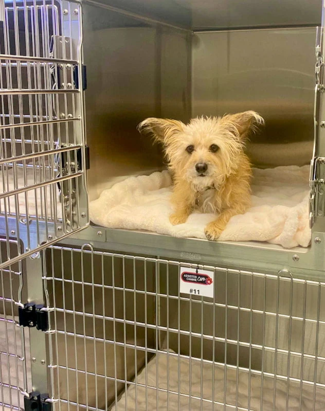 About Our ACC+ Program