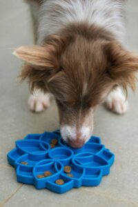 dog eating off mat